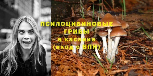 бутик Карпинск