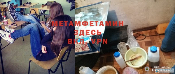крисы Каменка