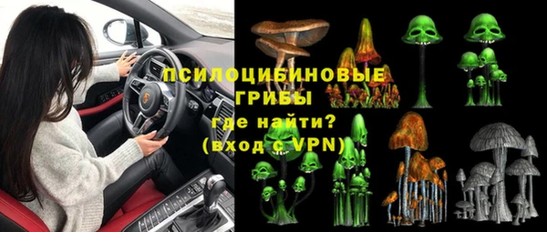 spice Карталы