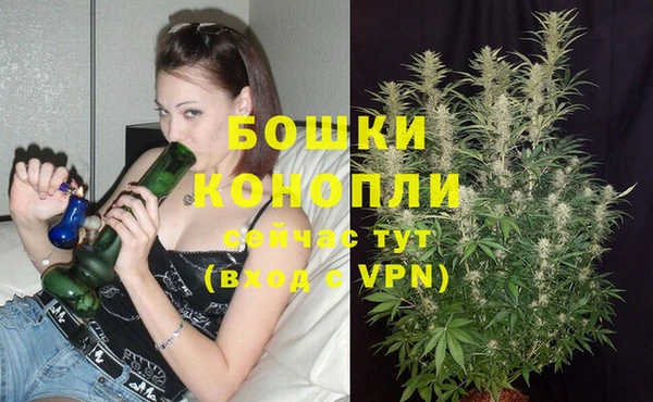 spice Карталы