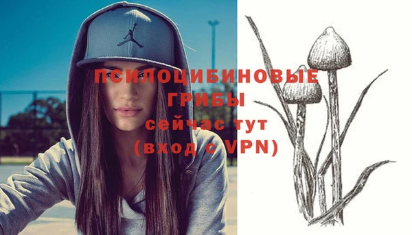 марки nbome Козловка