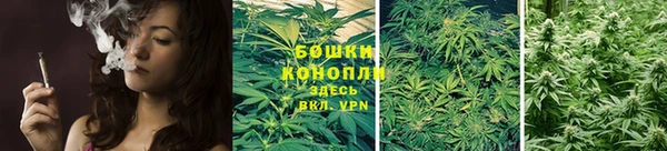 spice Карталы