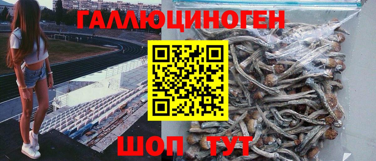 Псилоцибиновые грибы Magic Shrooms  даркнет сайт  Вход с VPN  Балаково  Галлюциногенные грибы GOLDEN TEACHER 